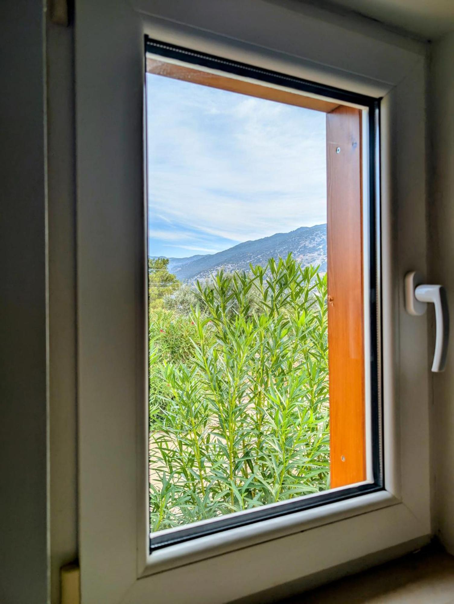 Belvedere, Lavanta, Daire Kalkan